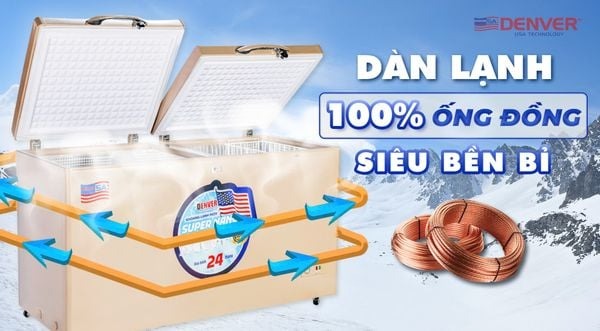Tủ bảo quản kính cong Denver 1 ngăn 650 lít AS 980K